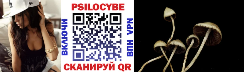 Галлюциногенные грибы Psilocybine cubensis  купить наркотик  Ворсма 